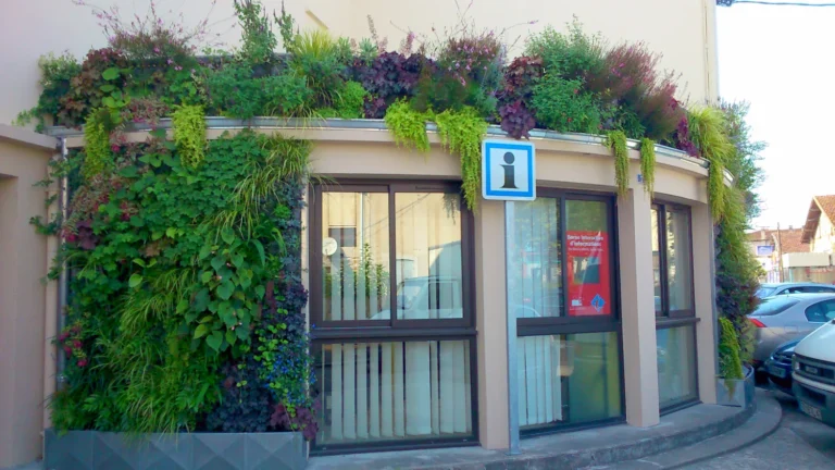 arbre stabilisé entreprise la rochelle