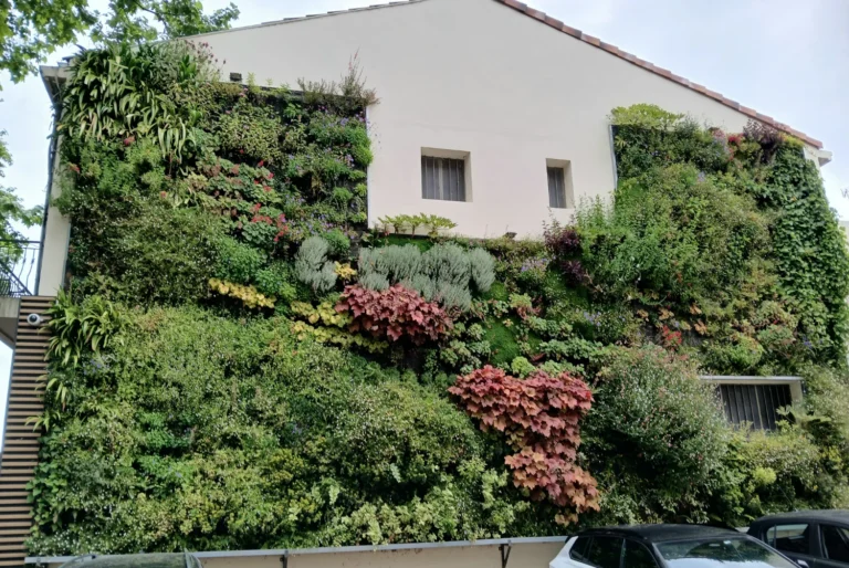 arbre stabilisé entreprise la roche sur yon